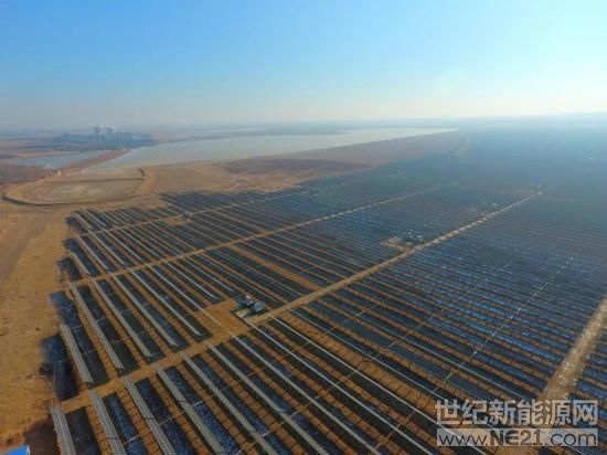 辽宁先建先得结出恶果：未批先建骗补贴 "水库光伏项目"排干6000亩湿地