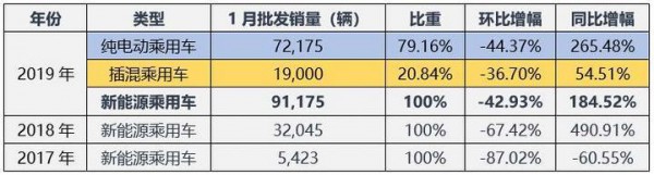 新能源乘用车市：比亚迪稳坐双冠