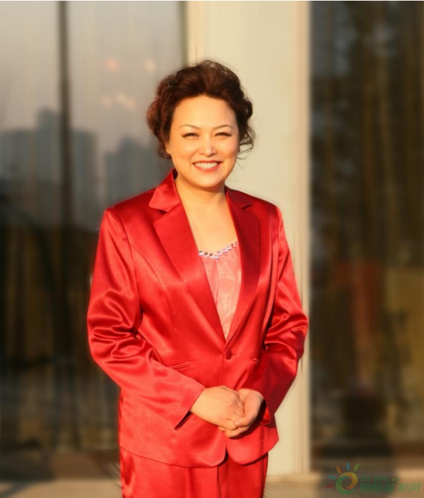 王凤英代表：避免加氢站成为地方政府形象工程