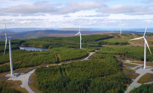 独家翻译 | 爱尔兰当局延长首次可再生能源招标资格预审截止日期至4月30日！