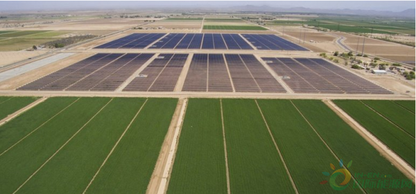 NextEra Energy公司已部署340MW/1.3GWh储能项目