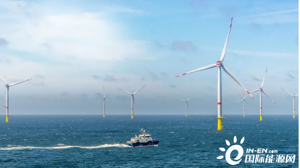 “南方之星”圆澳大利亚海上风电梦