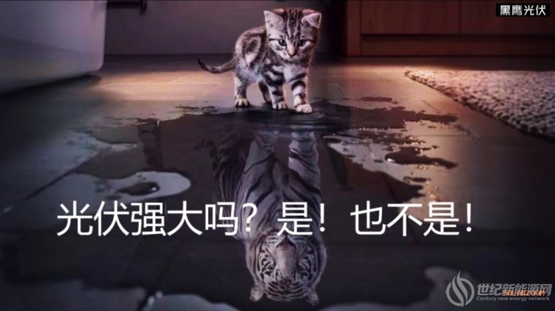 光伏亟需“吹哨人”！