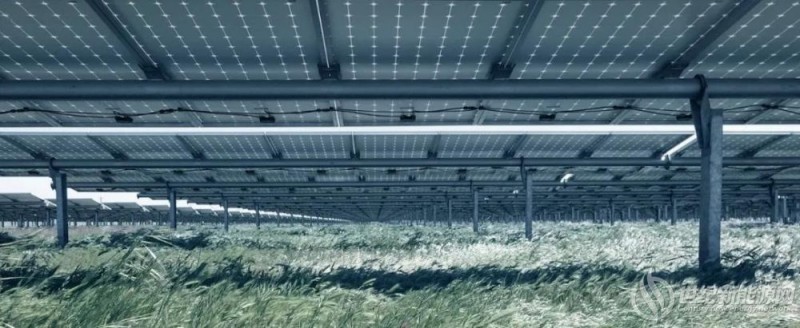 光伏电站被忽视的“隐秘角落”