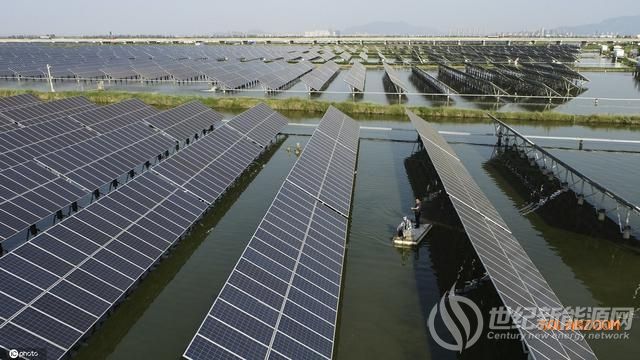 江苏连云港：“渔光一体”光伏电站项目 依托产业化模式提高养殖效益