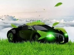 株洲高新区推动新能源汽车产业发展“芝麻节节高”