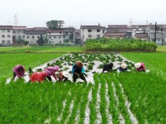 新突破！中国石化润滑油在氢能产业储运环节成功应用