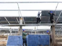 高平：光伏项目助力乡村振兴，为群众铺就“阳光”小康路
