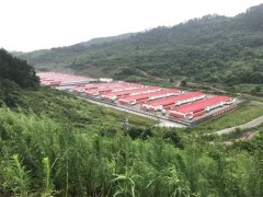 全国首个光伏型智能养鸡场在重庆开州建成！