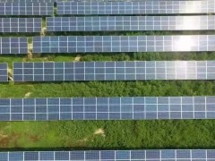 国内首个光伏与主粮生产融合项目并网成功，为新型农光互补模式“打样”！